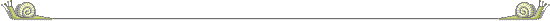Snail Divider Line